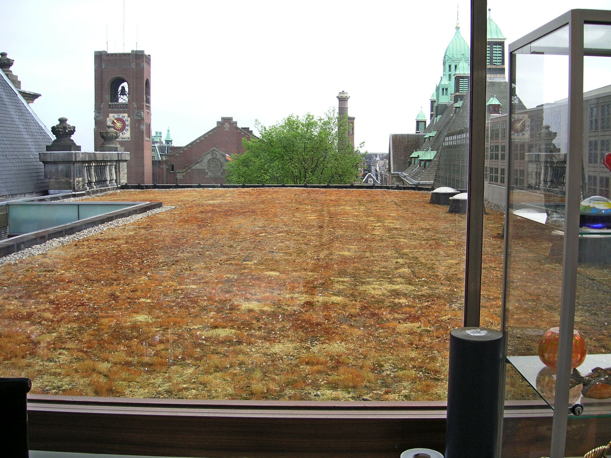 1-Amsterdam (125)