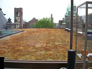 1-Amsterdam (125)