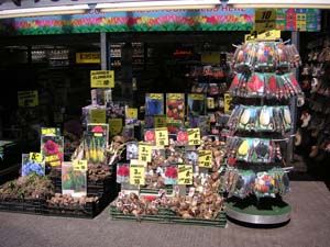 1-Amsterdam (46)