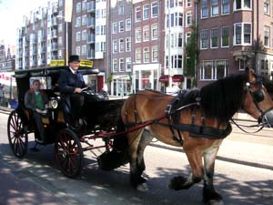 1-Amsterdam (49)