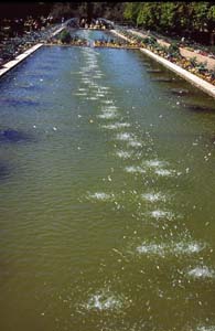 cordoba (10)