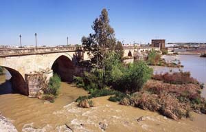 cordoba (26)
