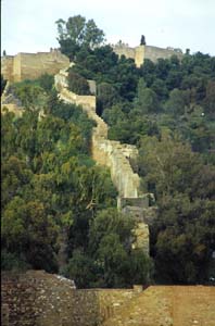 malaga0101