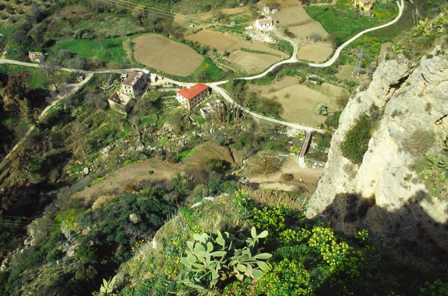 ronda0115