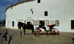 ronda0107