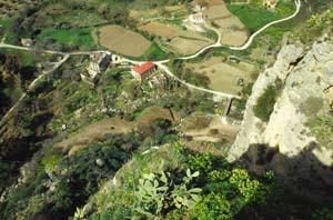 ronda0115