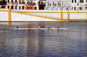 siviglia0183m