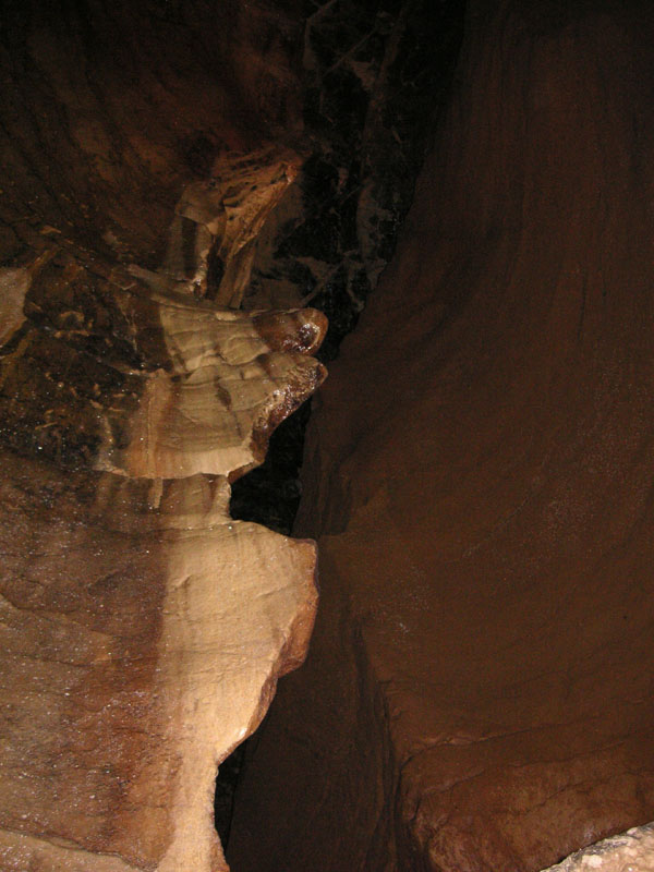 PICT0081