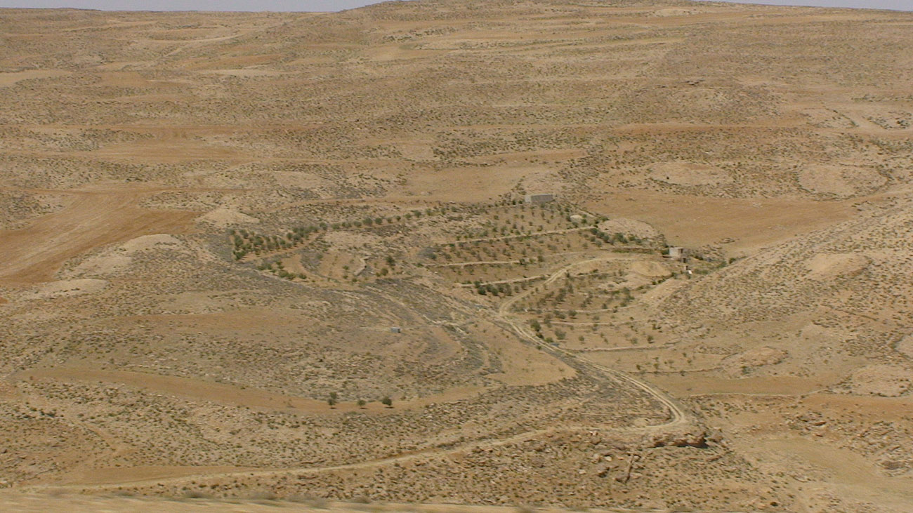 DSC00083