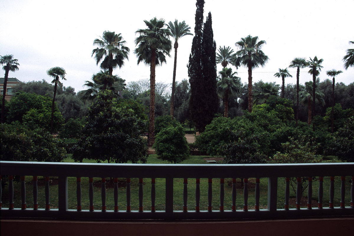 MAROCCO-MAMOUNIA.20022666