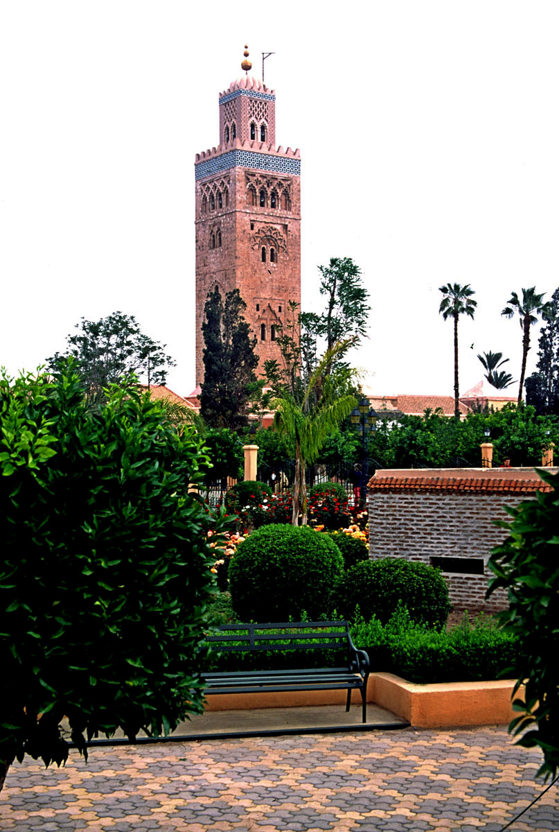 MAROCCO.20022595