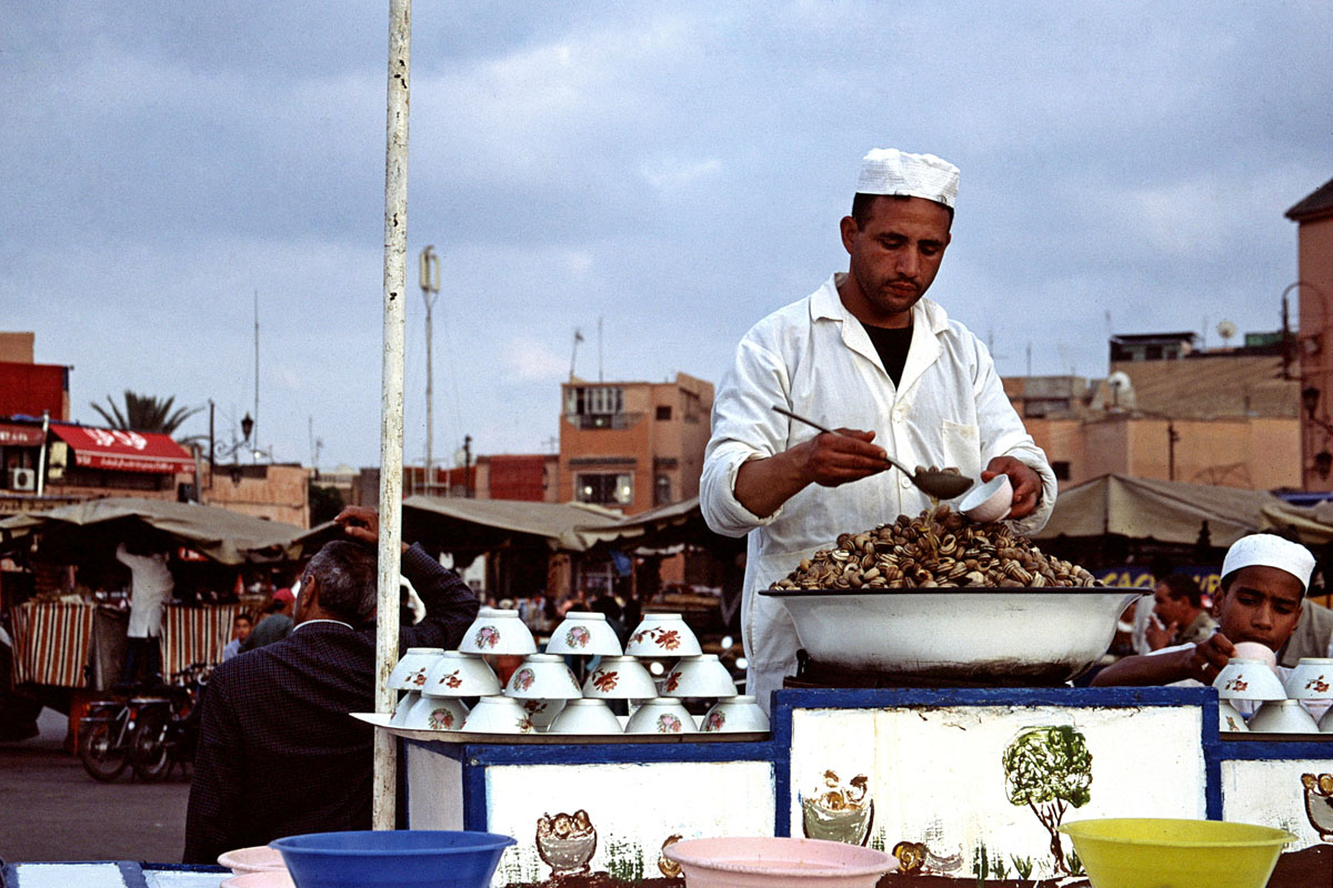 MAROCCO.20022616