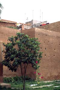 MAROCCO.20022612