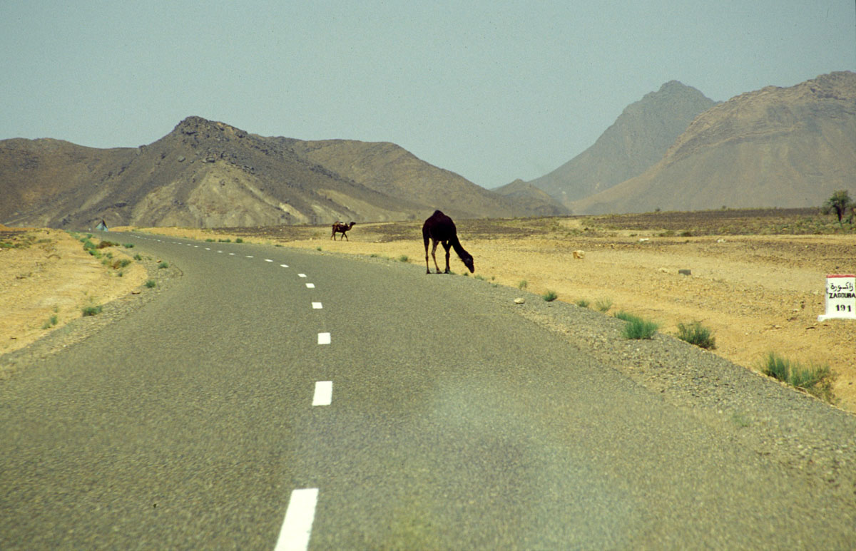 MAROCCO--2002.CASBAH2728