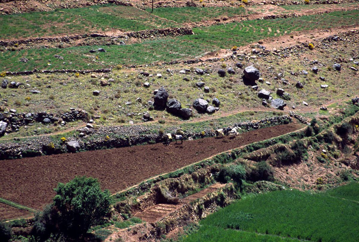 MAROCCO--2002.CASBAH2753