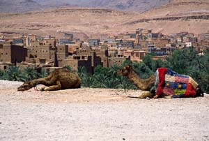 MAROCCO--2002.CASBAH2789