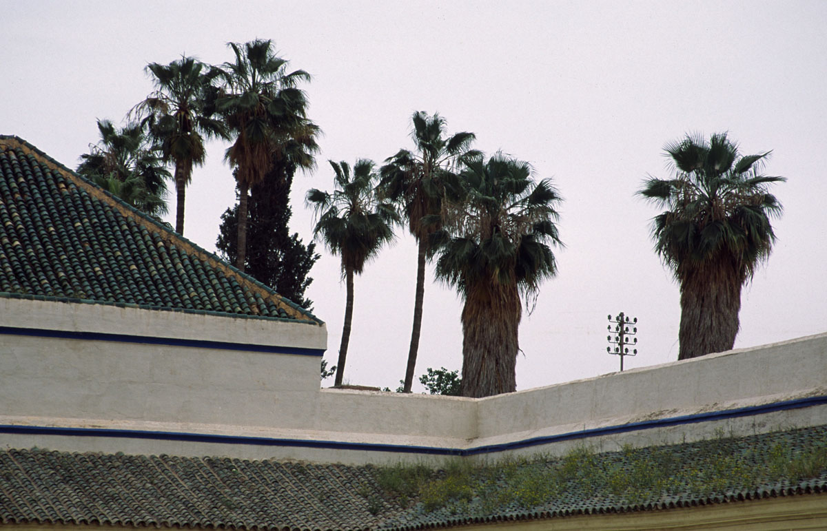 MAROCCO--2002.GARDEN2700