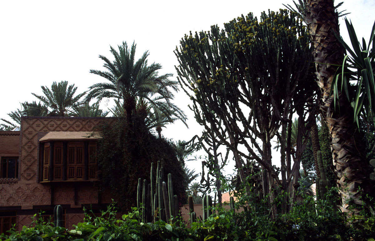 MAROCCO--2002.GARDEN2704