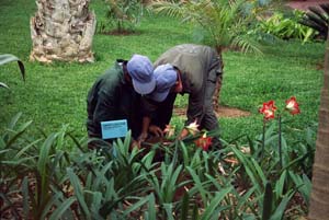 MAROCCO--2002.GARDEN2710