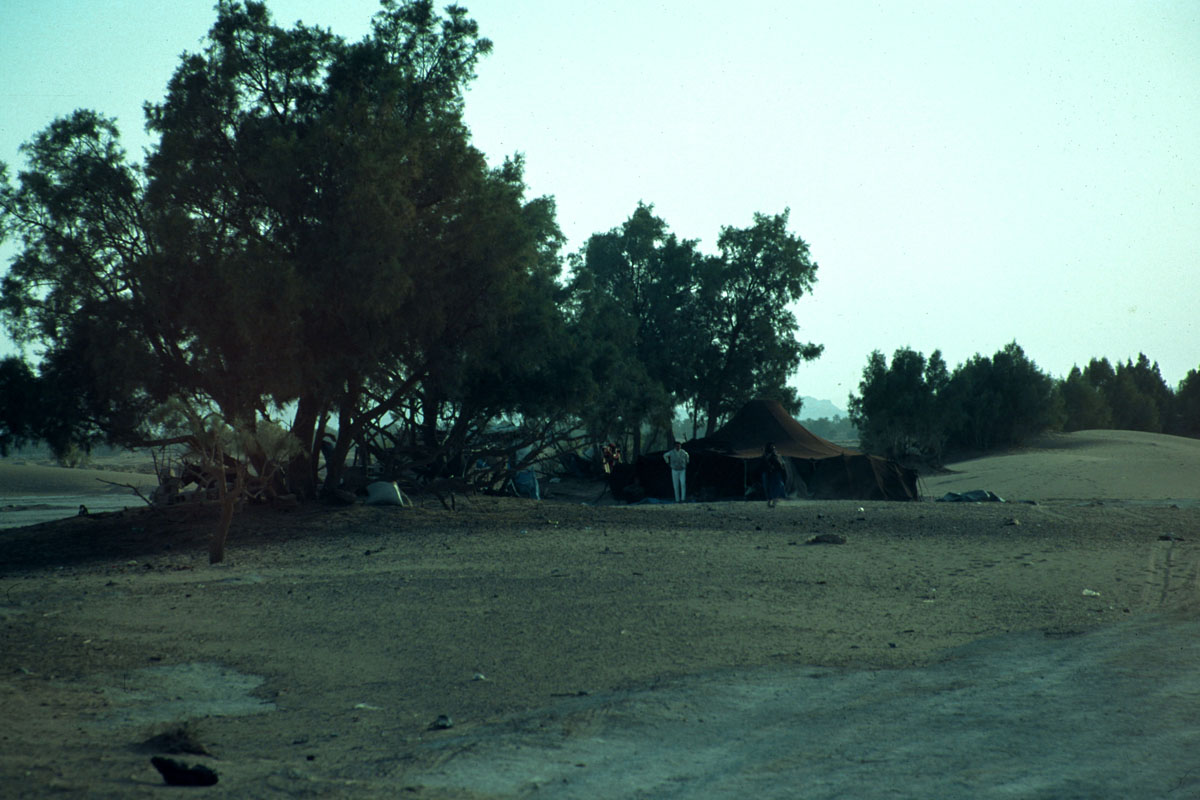 MAROCCO--2002.Qu-desert--2925