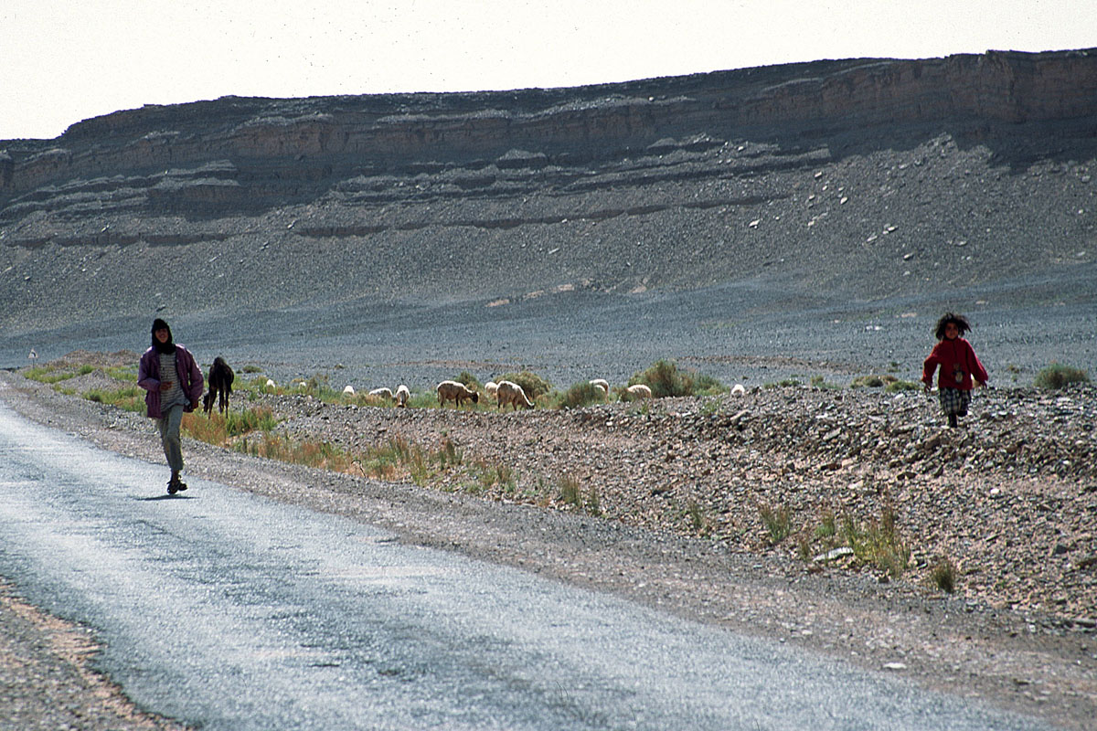 MAROCCO--2002.QU--2878