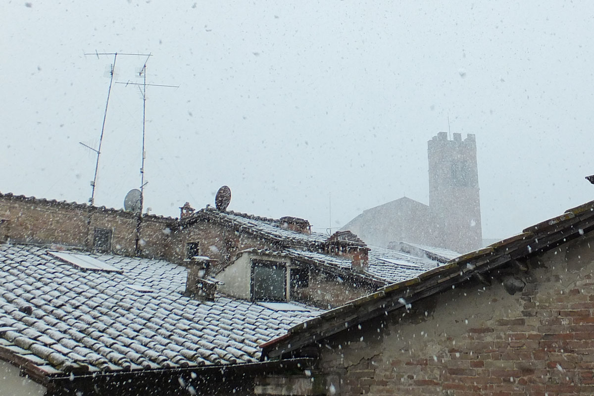 012DSCF6599