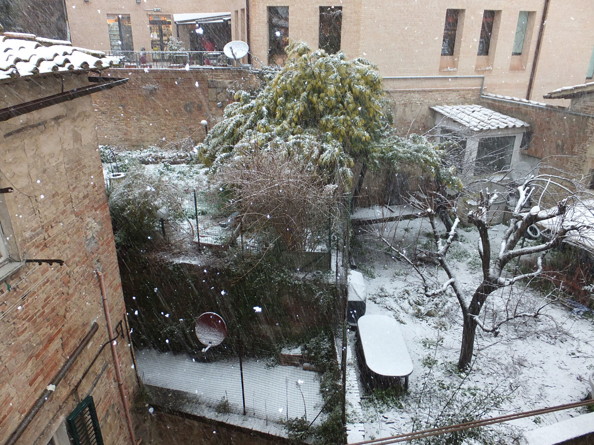 015DSCF6605