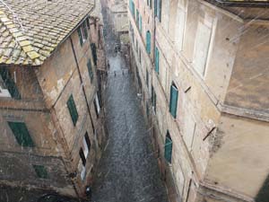 008DSCF6595