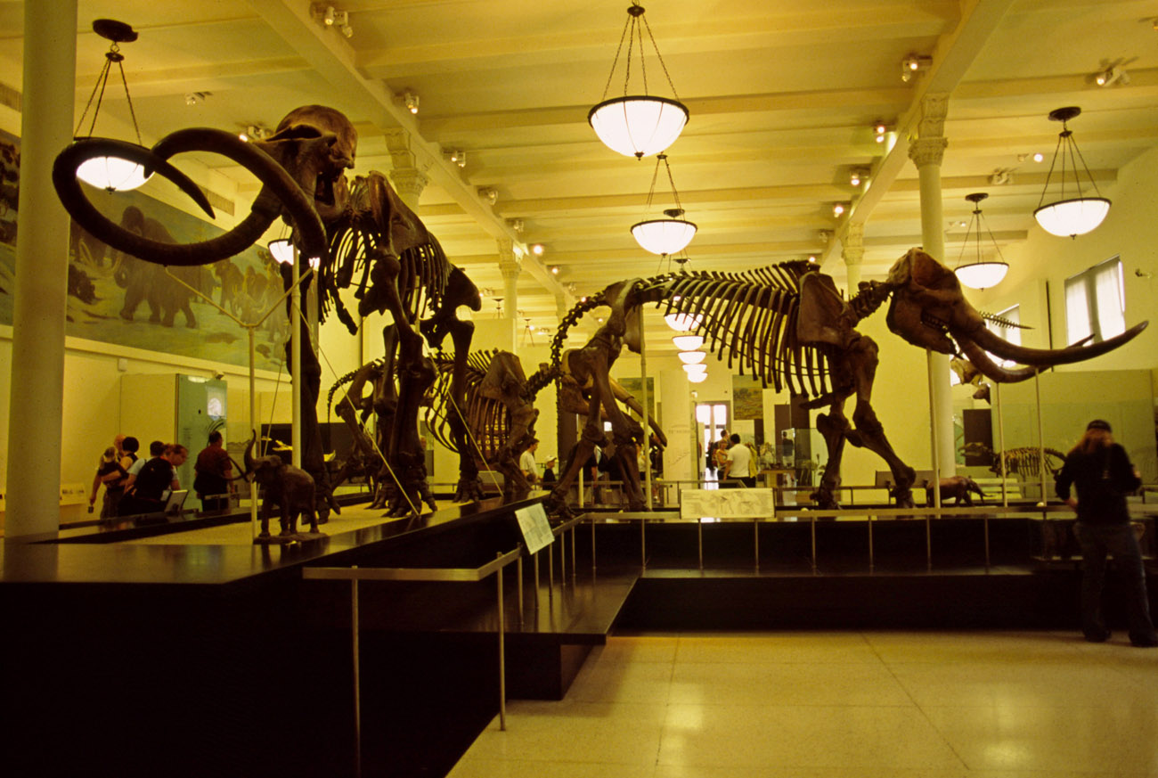 NY.2008-.DIA1811