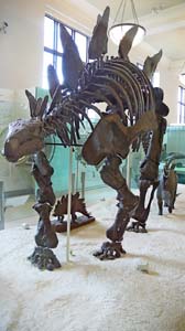 P1070786