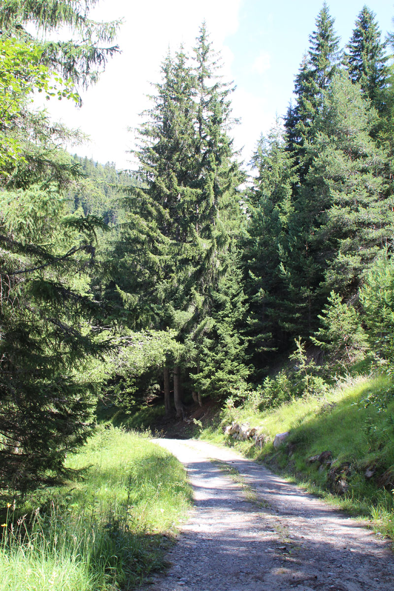 LE BIOLEY-SAVOIA (13)