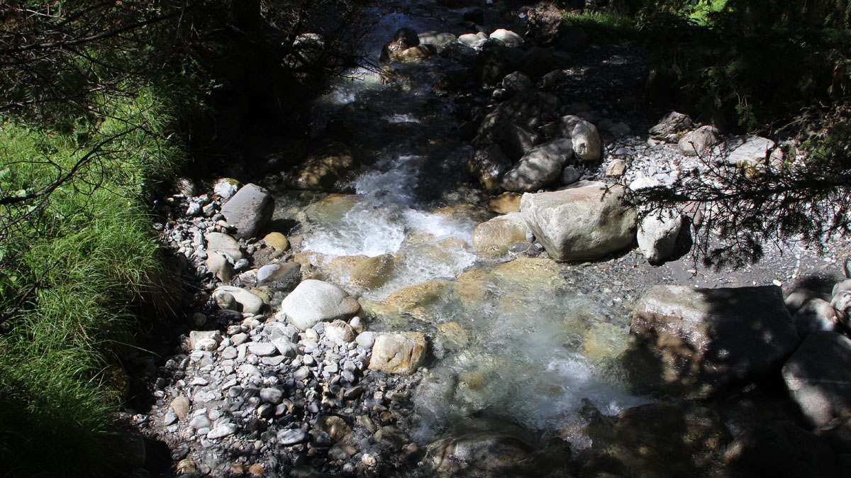 LE BIOLEY-SAVOIA (15)