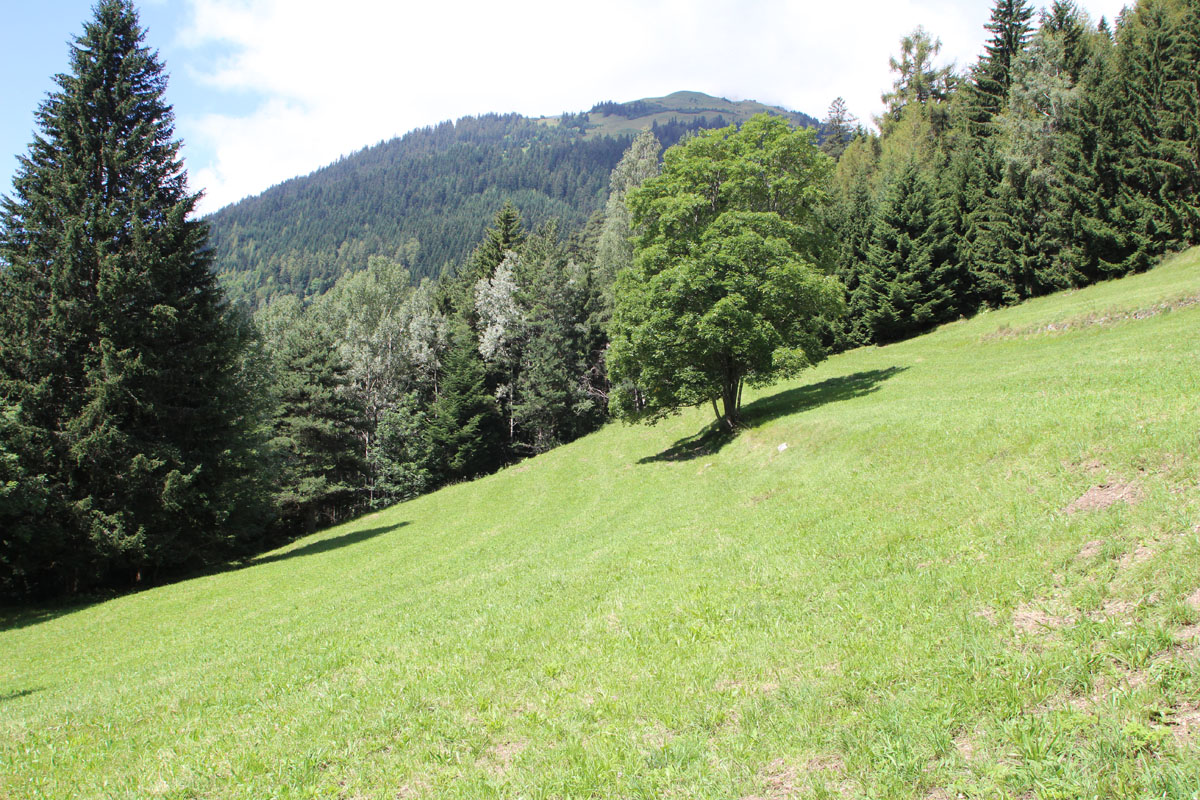LE BIOLEY-SAVOIA (19)