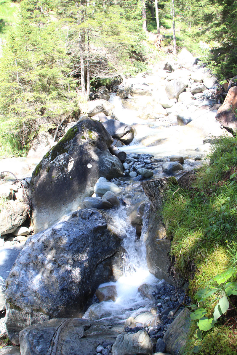LE BIOLEY-SAVOIA (27)