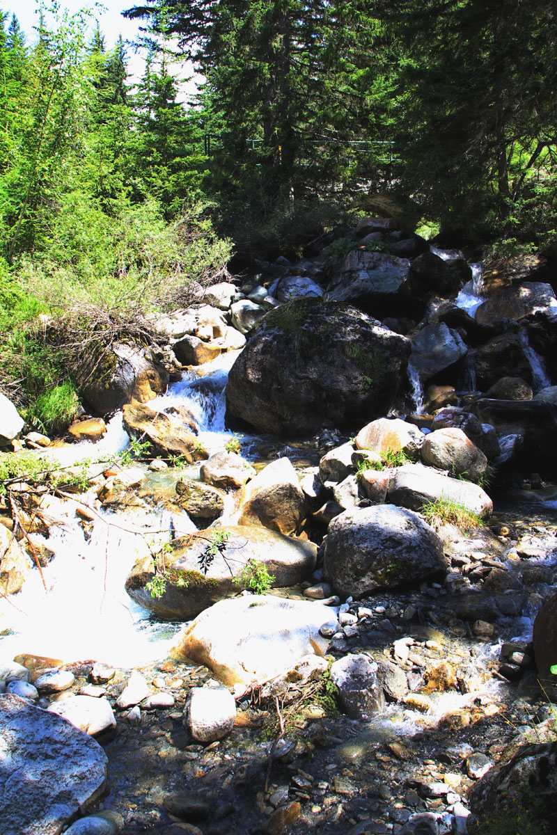 LE BIOLEY-SAVOIA (30)