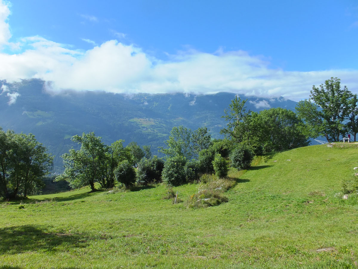 LE BIOLEY-SAVOIA (4)