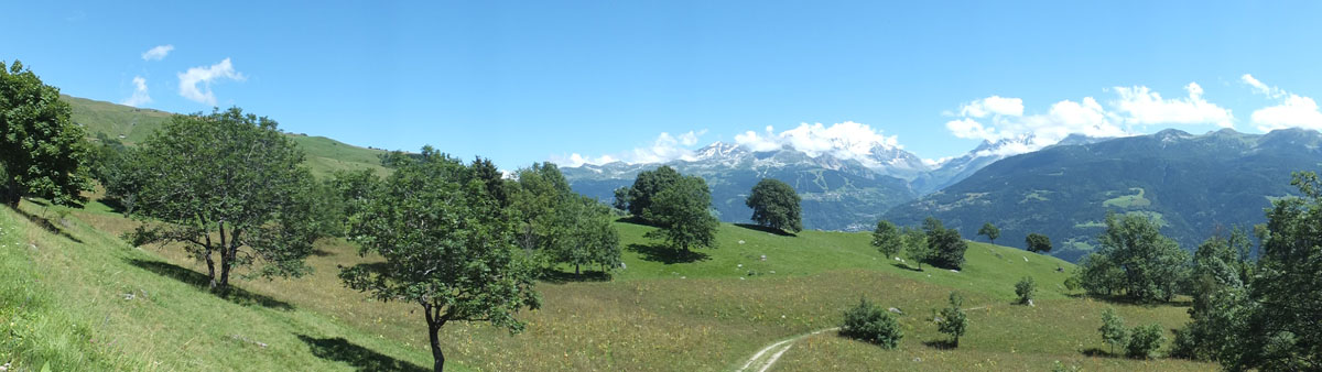 LE BIOLEY-SAVOIA (52)