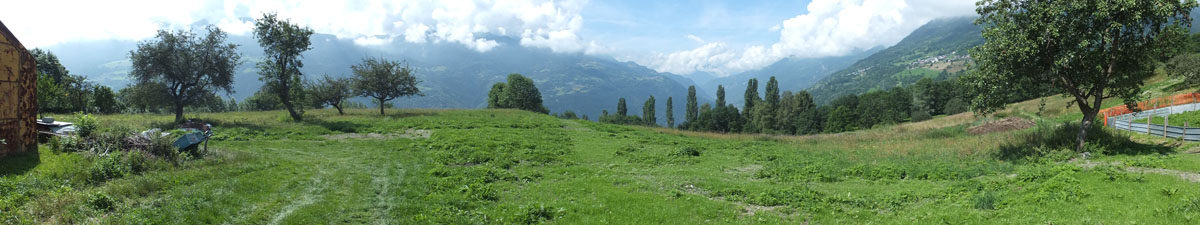 LE BIOLEY-SAVOIA (72)