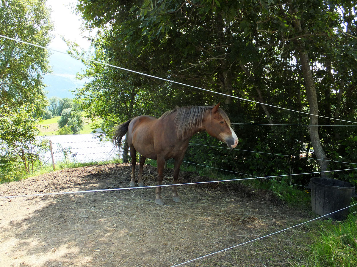 LE BIOLEY-SAVOIA (89)