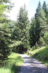LE BIOLEY-SAVOIA (13)