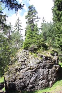 LE BIOLEY-SAVOIA (16)