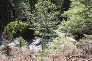 LE BIOLEY-SAVOIA (18)