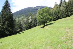 LE BIOLEY-SAVOIA (19)