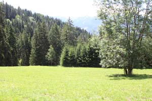 LE BIOLEY-SAVOIA (20)