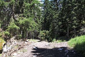 LE BIOLEY-SAVOIA (26)