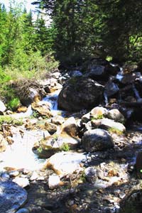 LE BIOLEY-SAVOIA (30)