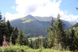 LE BIOLEY-SAVOIA (32)