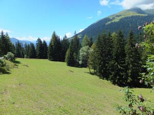 LE BIOLEY-SAVOIA (37)