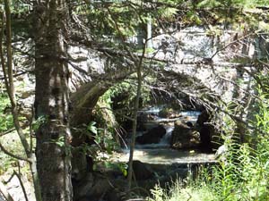 LE BIOLEY-SAVOIA (39)