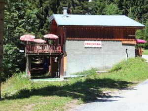 LE BIOLEY-SAVOIA (40)